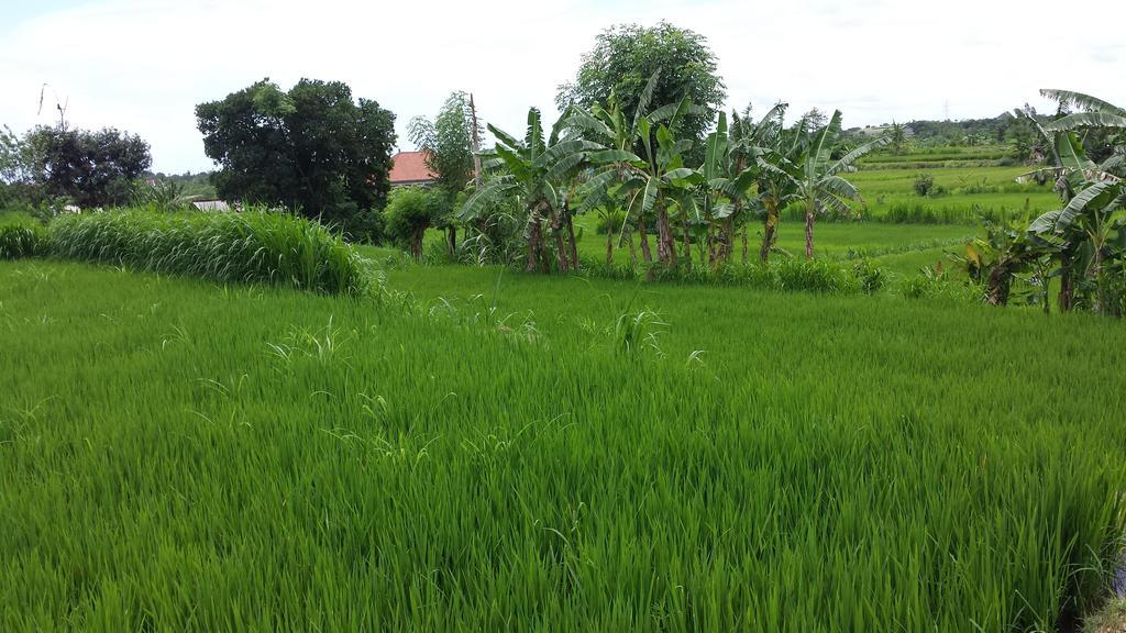 Puri Pondok Dawa Villa Kusamba 외부 사진